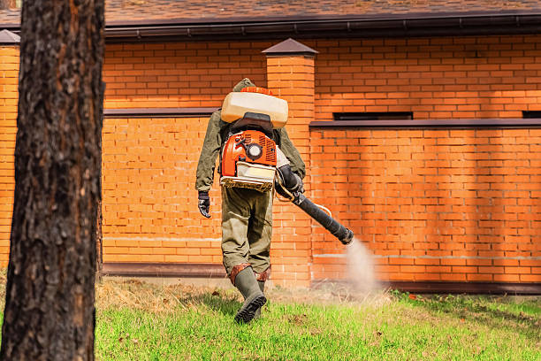 Top rated local Ant Control specialists in Coopersburg, PA